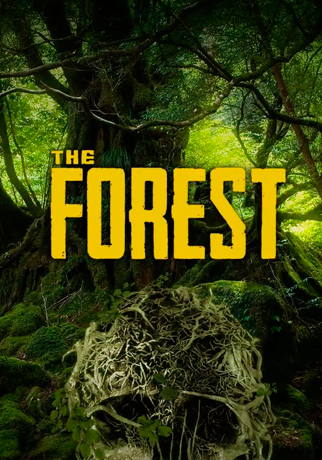 Ключ The Forest